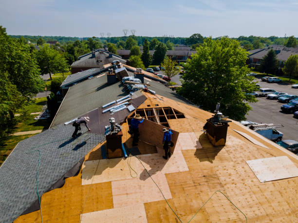 Trusted Roof Replacement service in Marshall, NC - Brentwood Metal Roofing